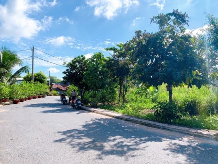 Cần bán khu đất ở Quy Đức, Bình Chánh giá bán 2,8 tỷ