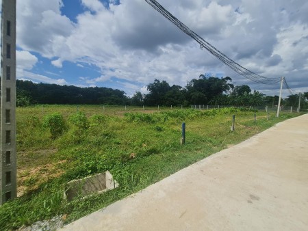 Đất trung tâm Tây Ninh, giá ngộp 290 triệu, ngay chợ Tân Thành