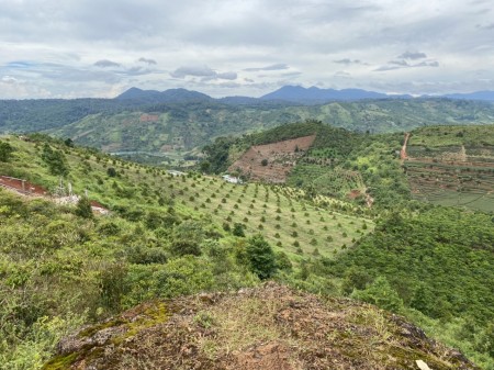Đi đến slide 4