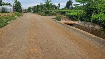 Cần bán gấp đất thổ cư tại Đồng Phú giá rẻ chỉ 490tr, diện tích rộng 250m2