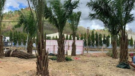 Đắt mặt tiền 5000m2 thị trấn Tân Nghĩa, Hàm Tân Bình Thuận, thổ cư 100%