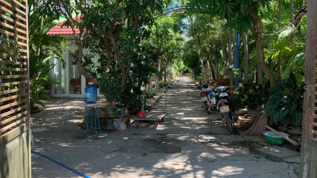 Tôi chính chủ cần chuyển nhượng gấp 7000m2 đất Hàm Thắng, Hàm Thuận Bắc Bình Thuận