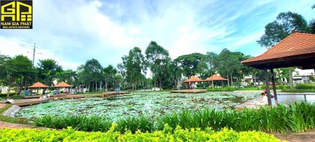 Đi đến slide 11