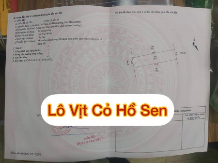 Cần bán lô đất khu Vịt Cỏ Hồ Sen, Tân Bình, Hải Dương liên hệ 0915153369
