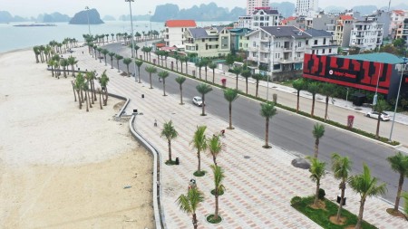 Đi đến slide 6