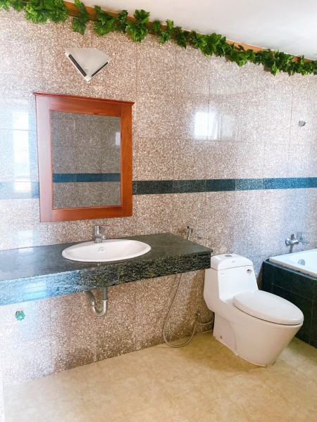 Chung cư Giai Việt Hoàng Anh cần cho thuê, số 856 Tạ Quang Bửu phường 5, Quận 8