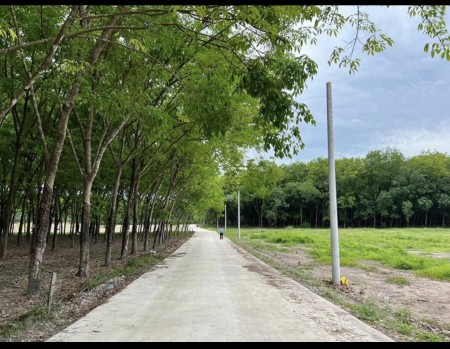 Còn duy nhất vài lô đất ngay trung tâm khu công nghiệp Đồng Phú .