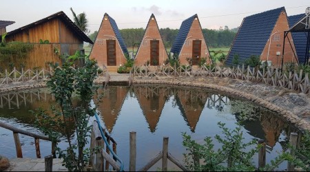 Bán resort view đồng ruộng cơ hội đầu tư kinh doanh mô hình nghỉ dưỡng