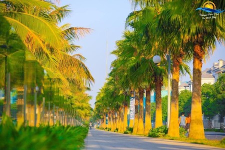 Đi đến slide 11