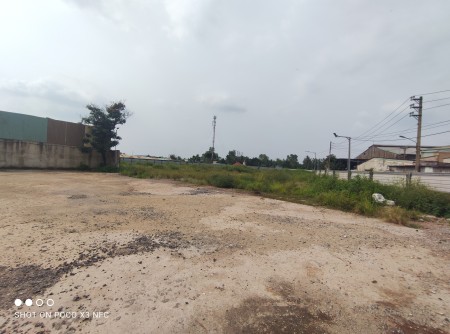 Cho thuê 6500m2 đất Trần Đại Nghĩa, Tân Kiên, Bình Chánh, TP.HCM