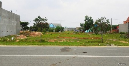 Vỡ Nợ Bán Rẻ 3 Lô Đất Thổ Cư Sổ Hồng Khu Chợ Tự Phát Và Đối Diện Bệnh Viện Rất Tiện Kd