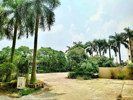 Đi đến slide 11