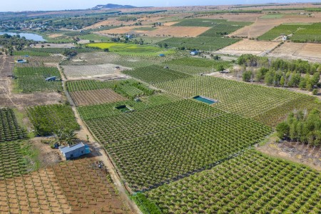 Đất xã Hồng Thái cách KDL Bàu Trắng 4km giá chỉ từ 150k-250k/m2