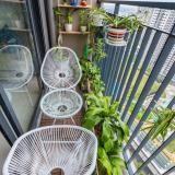 Cần bán gấp căn 3PN, 2VS giá 2.380 triệu tặng Nội Thất cao cấp Vinhomes Ocean Park LH 0942 782 768