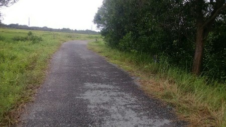 Bán gấp 1000m2 đất cây lâu năm, Hồ Thị Bưng, Tân Thạnh Tây, Củ Chi 1,05 tỷ thu về