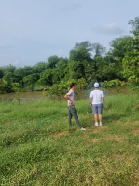 Thanh lý xả lỗ VƯỜN THANH LONG 2500m2 sát quốc lộ 1a đang thu hoạch trái,điện nước đầy đủ 665 trieu