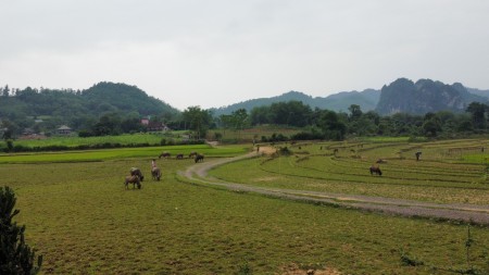 Đi đến slide 5