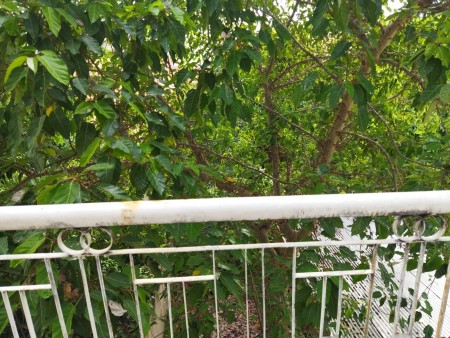 Bán mặt tiền kinh doanh ngang 8m, 4 tầng tuyến đường huyết mạch Quận Tân Phú, giá 58 tỷ