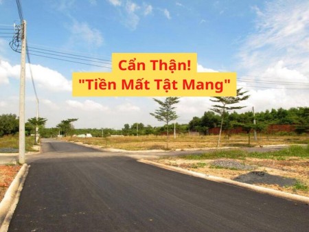 Ảnh bài viết: Nhà đầu tư săn đất ngộp hú hồn khi gặp trúng 2 ngôi mộ cổ