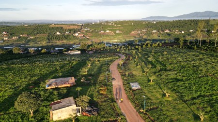 Đi đến slide 4