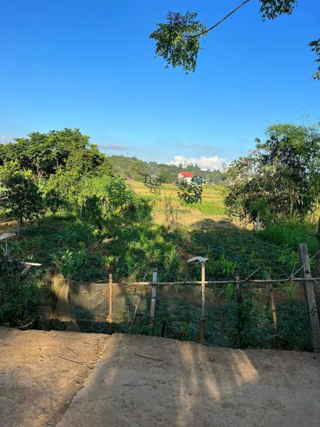 Bán đất tại Quỳnh Lưu Nho Quan, Ninh Bình diện tích dt 1789m2