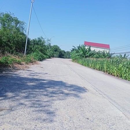 Bán đất xã Quỳnh Lưu, Nho Quan, Ninh Bình, diện tích 2959m2, giá 7.5 triệu/m2