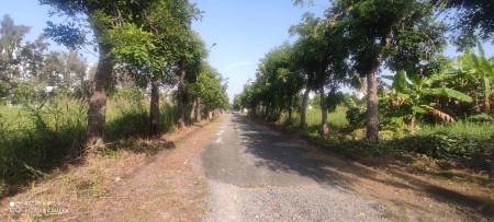 Sở hữu ngay 85m2 đất thổ cư xã Phong Phú, Bình Chánh. Cách QL50 Q8 chỉ 700m. Sổ đỏ riêng!