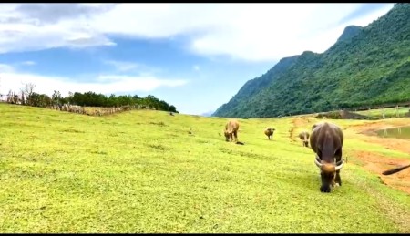 Đi đến slide 5