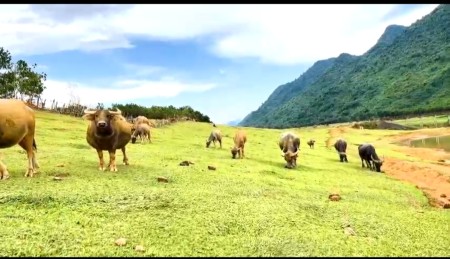 Đi đến slide 4