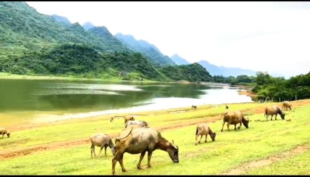 Đi đến slide 2