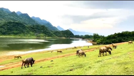 Bán đất nghỉ dưỡng bám hồ siêu đẹp ở Lạc Sơn, Hòa Bình. 5000m chỉ 2.2 tỷ