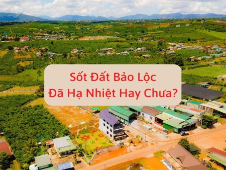 Cơn sốt mua bán đất TP. Bảo Lộc đã hạ nhiệt hay chưa?