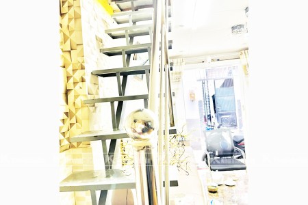 Đi đến slide 2