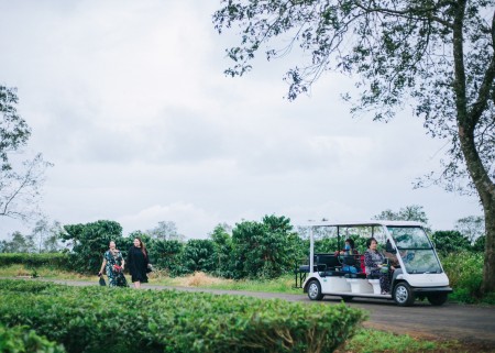 Đi đến slide 6