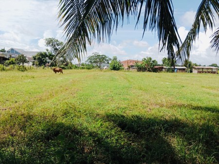 Bán gấp lô đất ngay thị trấn huyện Bến Cầu, sổ hồng riêng, giá tốt