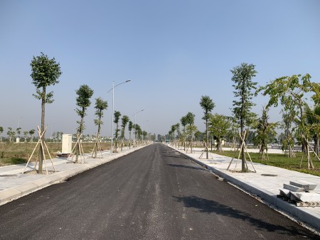 Khu dân cư mới xã Cầm Chế huyện Thanh Hà giá tốt đầu tư