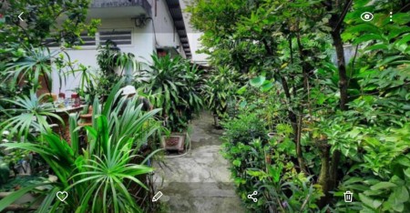 Nhà vườn, 215m² . HXH thông, 50m ra đ.NT.Sơn, Ng.Tuân > PV.Đồng.