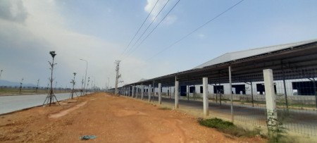 Cho thuê nhà xưởng An Thanh khu công nghiệp Tam Anh, Hàn Quốc