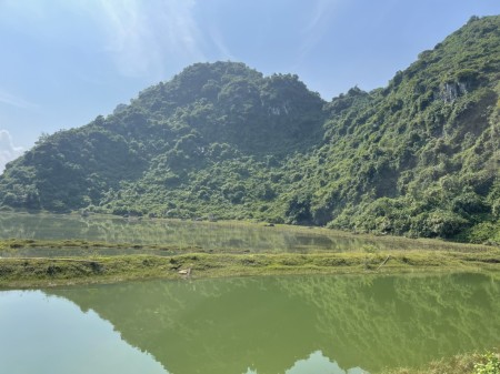 Đi đến slide 5