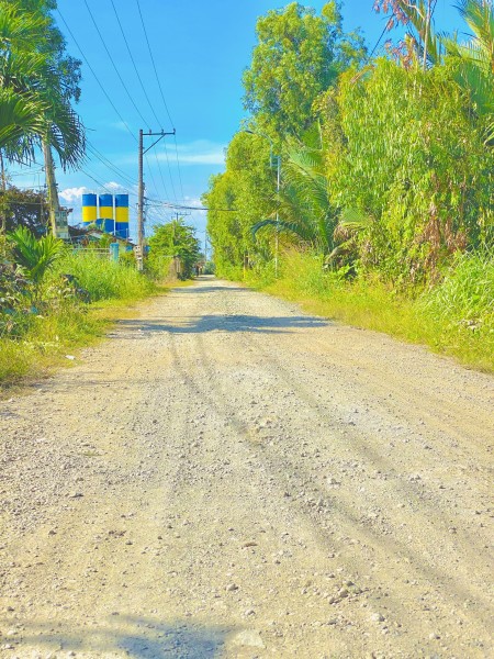 Đi đến slide 5