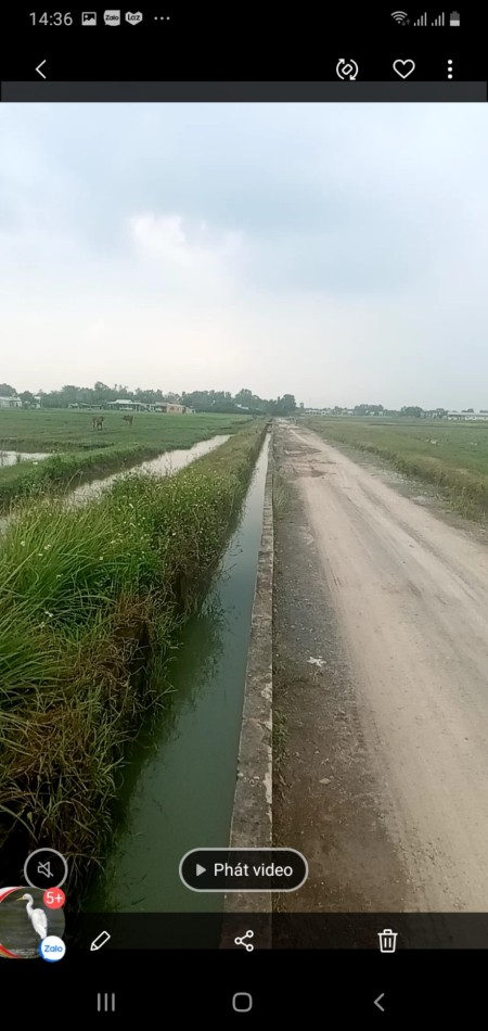 Cần bán lô đất ruộng tìm năng cao, giá tốt, đầu tư sinh lời