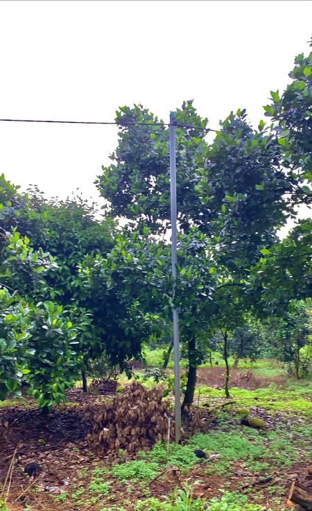 Đi đến slide 4