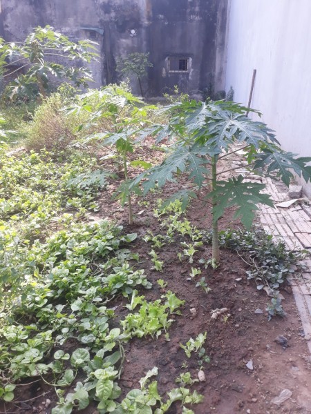Bán đất thổ cư 32m2 sổ ôtô đỗ cửa Tả Thanh Oai 1.4 Tỷ