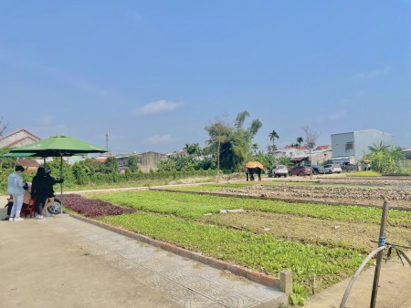 Bán đất nền dự án, nhận vàng liền tay, giá tốt, chiết khấu cao