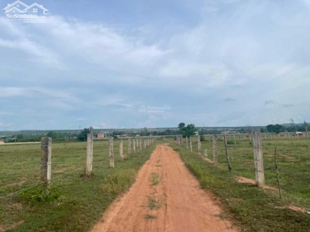 Bán 20,031M2 Đất Cây Lâu Năm Hồng Liêm, Htb Đường Ô Tô Và Dân Cư Hiện Hữu Chỉ 190K/M2