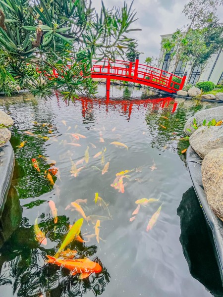 Đi đến slide 2