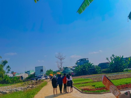 Đi đến slide 3