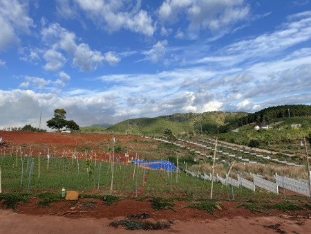 Bán đất chính chủ 534m2 gần đường nhựa, có sổ hồng riêng, cam kết giá rẻ