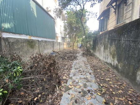 Cho thuê nhà cấp 4 Phú Diễn diện tích 300m2, đường rộng.