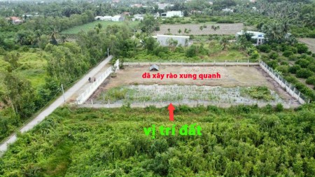 Chủ kêu bán đất lô thổ lúa Bến Lức, đã sang lấp và xây rào siêu đẹp